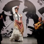 Private flamenco show in the center of Seville (Max 30 pax) - Who Is This Experience Best Suited For?