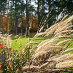 Private Forest Mind Tour in Tampere - Why You Should Consider This Tour