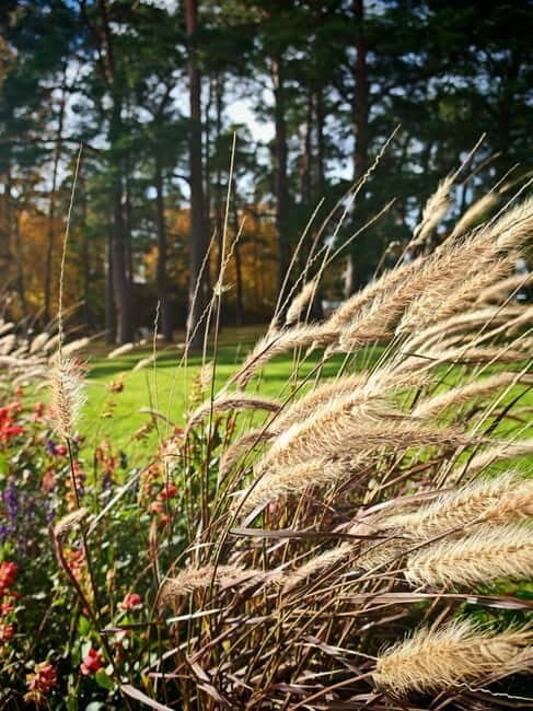 Private Forest Mind Tour in Tampere - Why You Should Consider This Tour