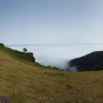 Private Full-Day Tour of North Coast and Laurissilva Forest - Why This Tour Offers Great Value