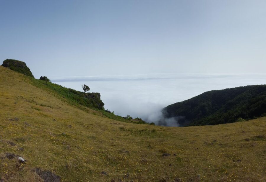 Private Full-Day Tour of North Coast and Laurissilva Forest - Why This Tour Offers Great Value