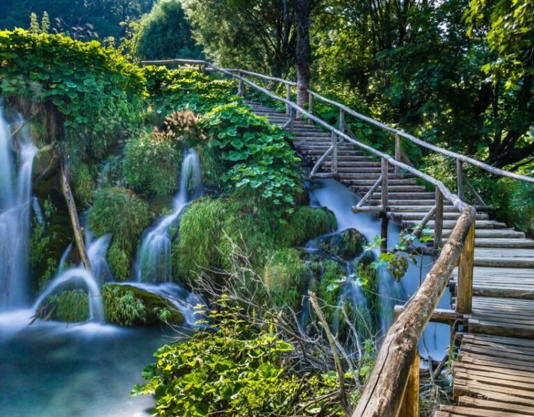 Private Full - Day Tour: Plitvice Lakes from Dubrovnik - The Practicalities: What You Need to Know