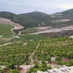 Private Full - Day Tour: Wine Tasting Tour to Peljesac - Practical Details & Value