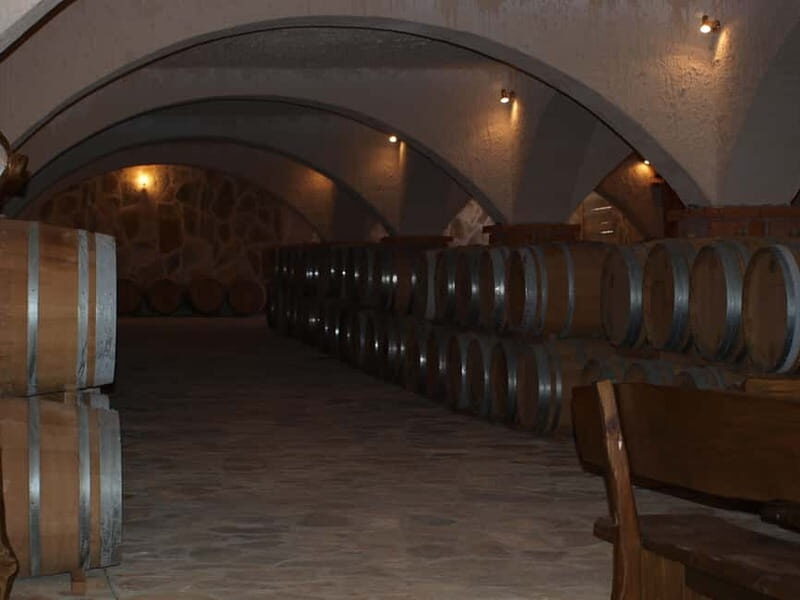 Private Full-Day Wine Tour from Dubrovnik to Peljesac - Transportation and Practical Details