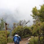 Private - Gastro Hike with Levada Walk and Local Food - What Makes This Tour Stand Out?