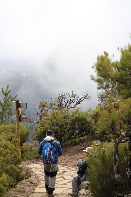 Private - Gastro Hike with Levada Walk and Local Food - What Makes This Tour Stand Out?