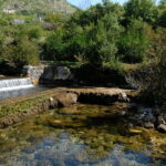 Private Gastro Tour to Konavle and Cavtat from Dubrovnik - Who Will Love This Tour?