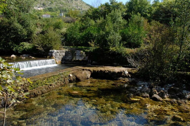 Private Gastro Tour to Konavle and Cavtat from Dubrovnik - Who Will Love This Tour?