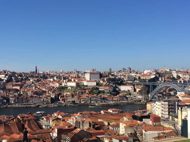 Private Half-Day Porto Tour By Car - Authentic Insights from Tour Reviewers