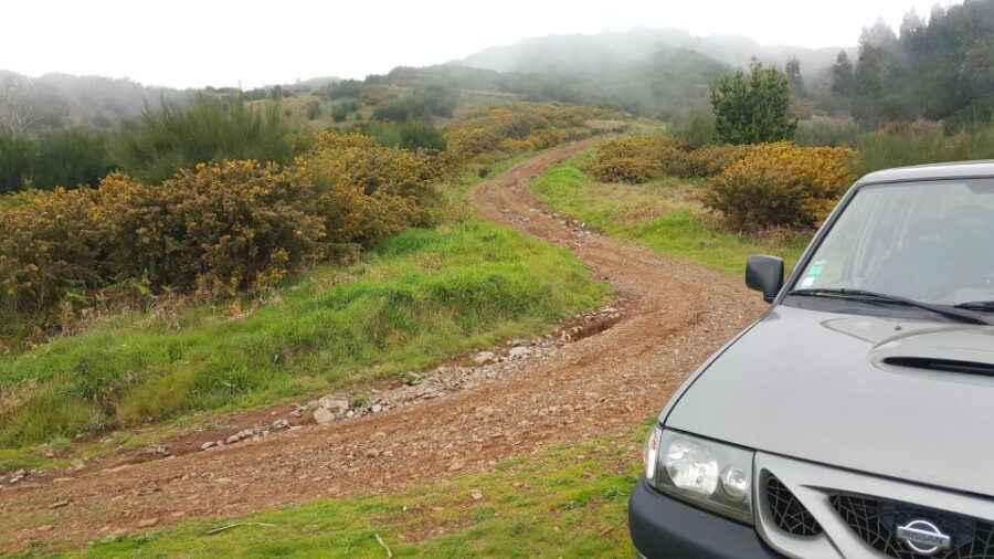 Private Half-Day Tour of Funchal Sky to Sea - Who Is This Tour Best For?