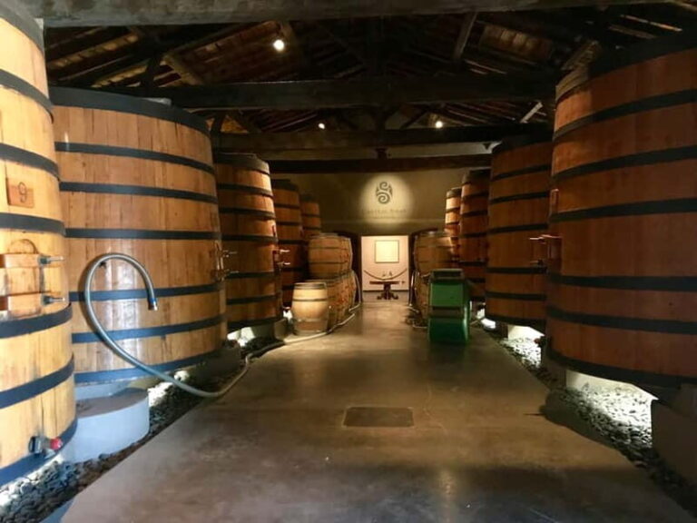 Private Half-Day Wine Tour in Citroën 2CV - Who Will Love This Tour?