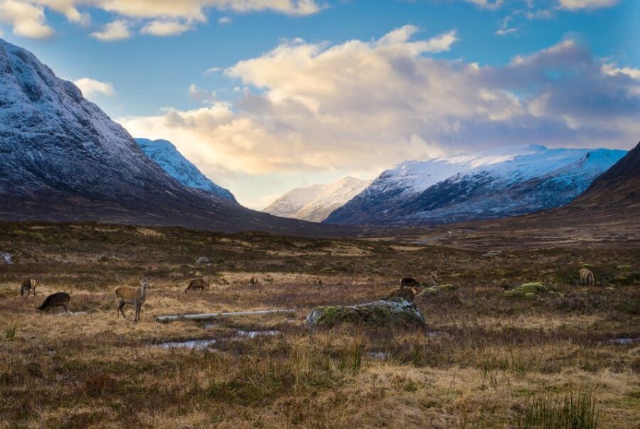 Private Harry Potter Day Tour For Small Groups - The Itinerary: A Deep Dive Into the Highlights