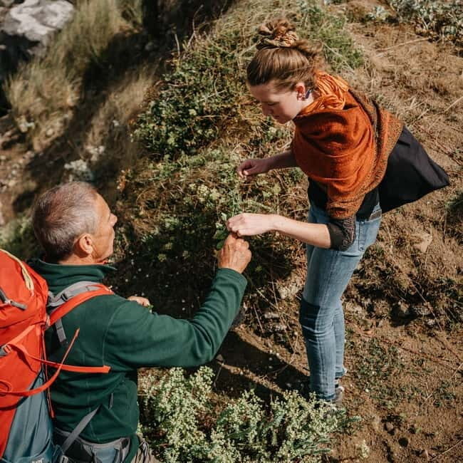 Private Hike: Brecon Beacons Henrhydd Falls Plus Foraging - Price and Value