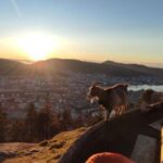 Private hiking tour Bergen mountains like a local - The Sum Up