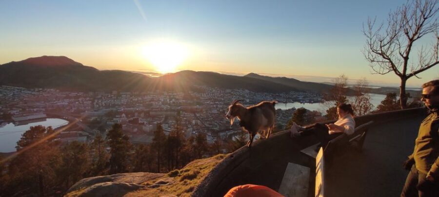 Private hiking tour Bergen mountains like a local - The Sum Up