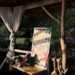 Private Island Escape: A Sunset Painting & Wine Experience - The Value of the Experience