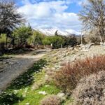 Private Jeep Tour to Psiloritis Mountain & Cooking Lesson - Why This Tour Offers Great Value