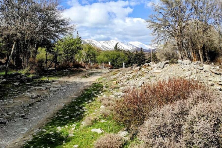 Private Jeep Tour to Psiloritis Mountain & Cooking Lesson - Why This Tour Offers Great Value