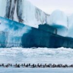 Private Jökulsárlón Glacier Lagoon Tour - Practical Details: What Makes This Tour Stand Out