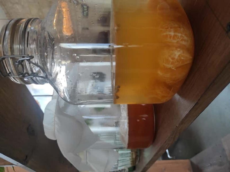 Private Kombucha Making Workshop in Cyprus - The Breakdown of the Workshop