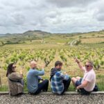 Private La Rioja Day: Visit 2 Premium Wineries with lunch. - Is This Tour Worth It? Analyzing the Value