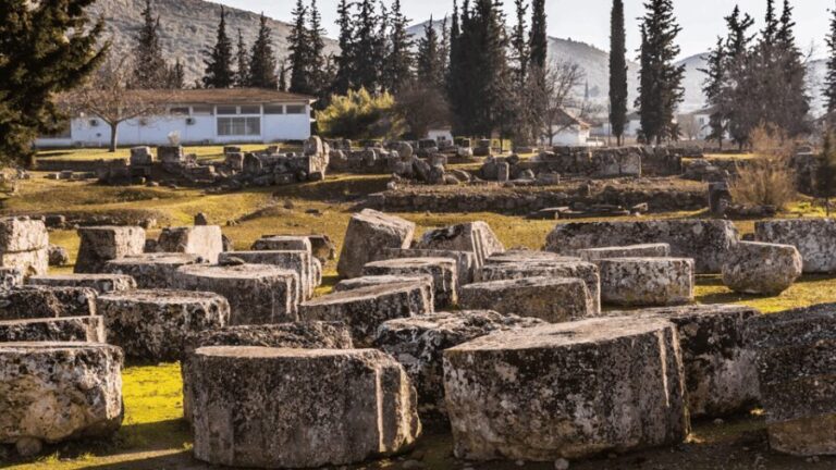 Private Luxury Tour: Nemea's Ancient Sites & Wine Tasting - Ancient Nemea: Walking Among Legends