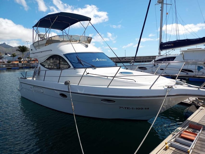 Private MotorBoats for up 22 passengers - Who Should Book This Tour?