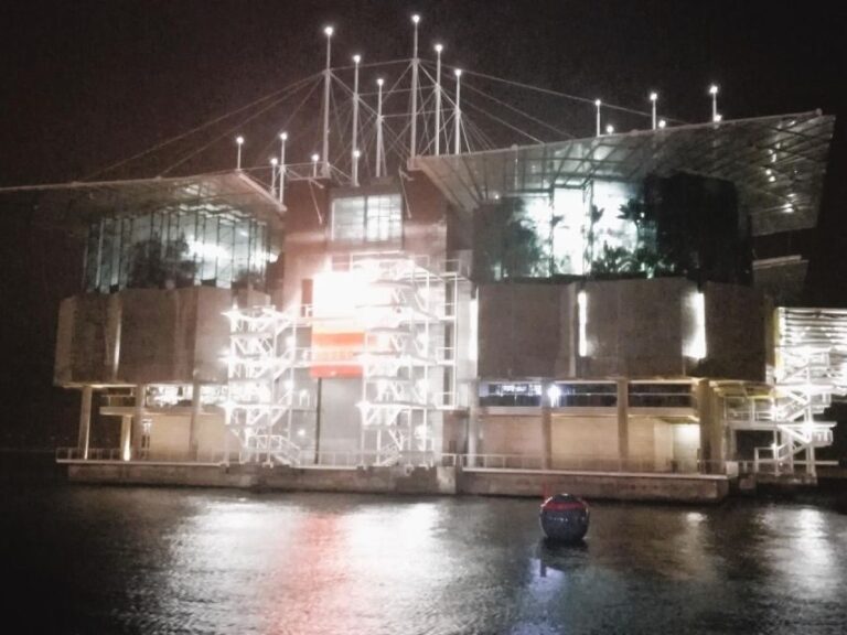 Private night tour, authentic Fado show & Portuguese dinner - What Makes This Tour Stand Out