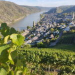 Private Rhine Valley tour with river cruise & wine tasting - Why This Tour Is a Great Value