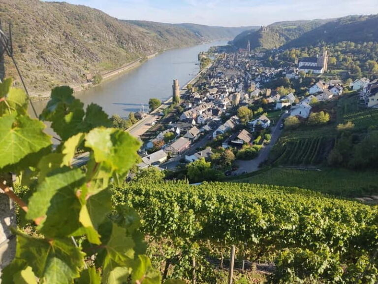 Private Rhine Valley tour with river cruise & wine tasting - Why This Tour Is a Great Value