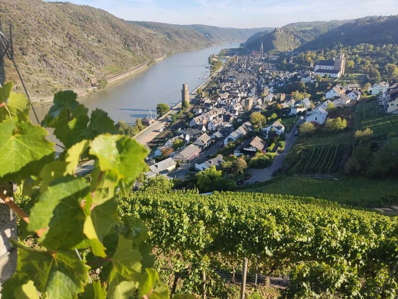 Private Rhine Valley tour with river cruise & wine tasting - Why This Tour Is a Great Value