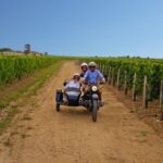 Private ride in the vineyards from Saint-Emilion - The Details of the Tour: What to Expect