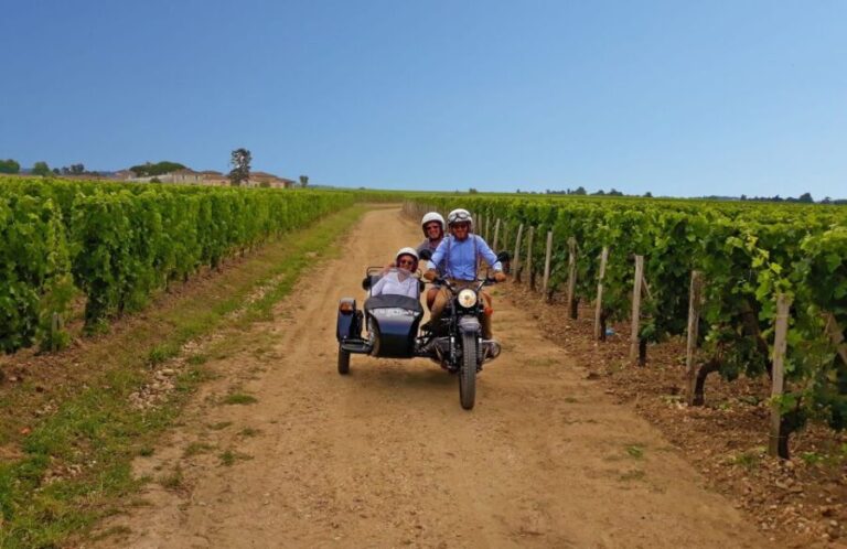 Private ride in the vineyards from Saint-Emilion - The Details of the Tour: What to Expect