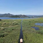 Private Skadar lake tour with guide, snacks and drinks - The Value of a Two-Hour Lake Skadar Tour
