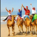 Private Tangier Tour from Gibraltar including Camel & Lunch - Unique Experiences and Highlights