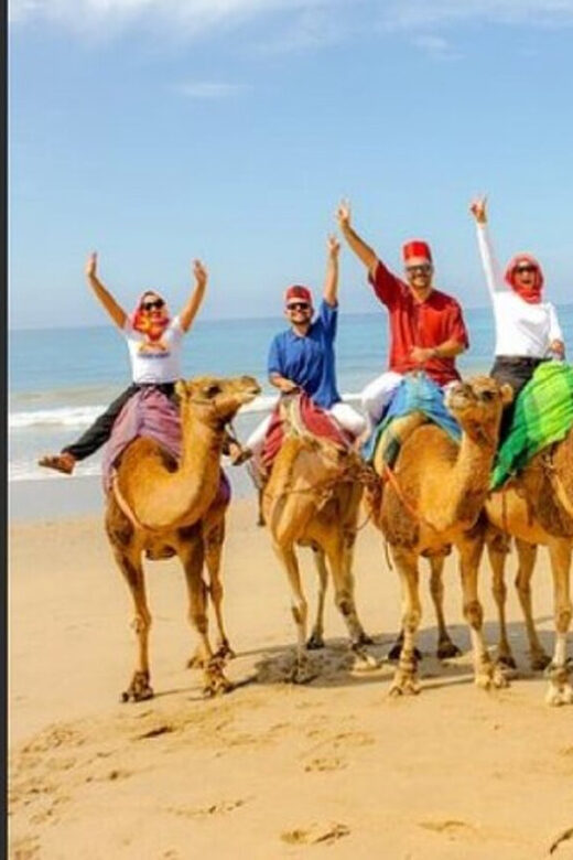 Private Tangier Tour from Gibraltar including Camel & Lunch - Unique Experiences and Highlights