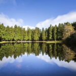 Private Terceira Island Caves: Lava Route - entrances & wine - The Itinerary: A Deep Dive Into Volcanoes and More