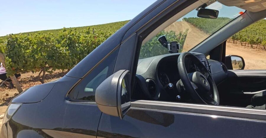 Private Tour Alentejo: Évora, WineTasting and Monsaraz - What We Think About the Cost and Value