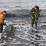 Private Tour: Amber Catching in Curonian Spit from Klaipeda - Preila Beach and Amber Catching