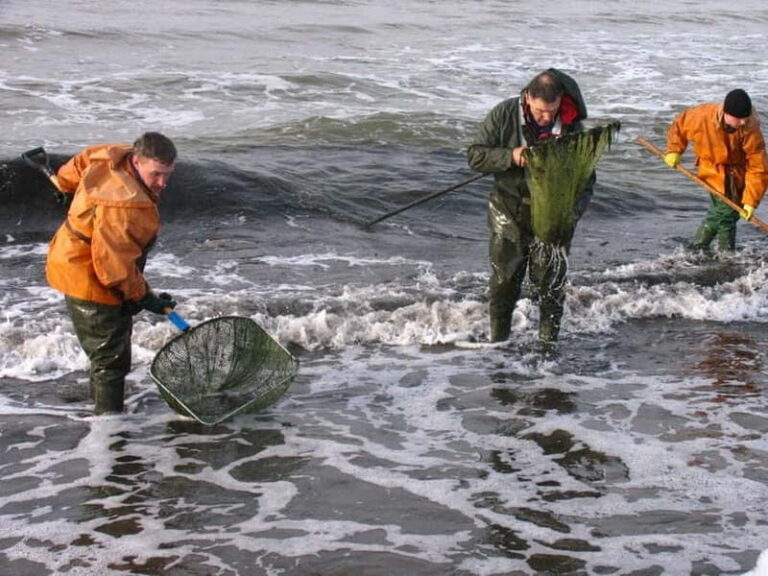 Private Tour: Amber Catching in Curonian Spit from Klaipeda - Preila Beach and Amber Catching