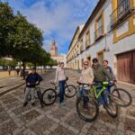 Private Tour by bike with Alcazar Guided Visit without ticket - A Closer Look at the Itinerary
