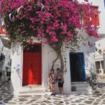Private Tour: Customize Your Perfect Day in Mykonos - A Deep Dive into the Experience
