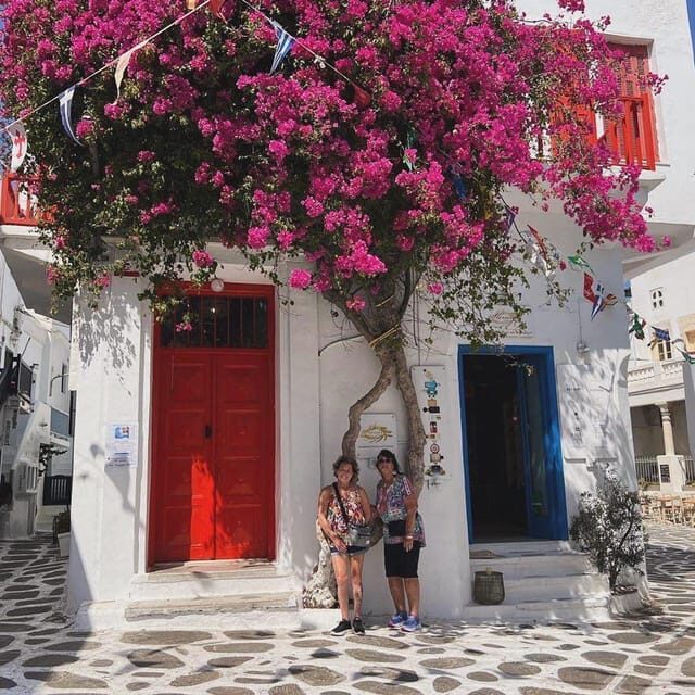 Private Tour: Customize Your Perfect Day in Mykonos - A Deep Dive into the Experience