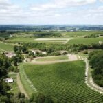 Private tour Day in the heart of the Cognac vineyards - Who Should Consider This Tour?