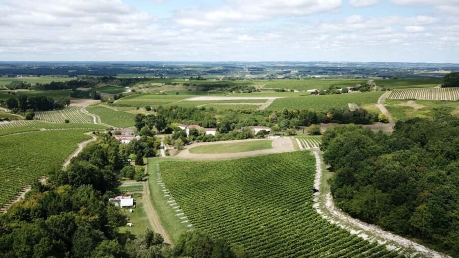 Private tour Day in the heart of the Cognac vineyards - Who Should Consider This Tour?