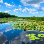 Private Tour from Bucharest to Danube Delta 2 Days Tour - Practical Tips for Making the Most of Your Tour