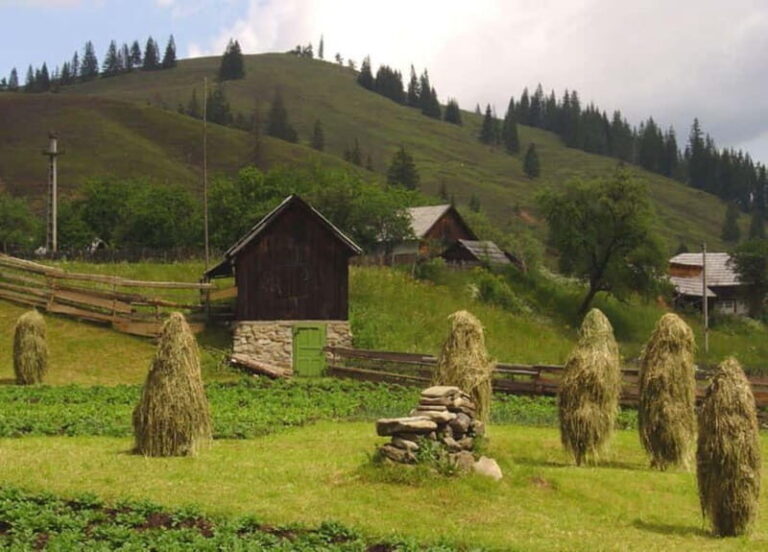 Private Tour from Bucharest to Painted Monasteries-UNESCO - Final Thoughts