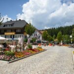 Private Tour from Zurich to Rhine Falls and Black Forest - What Makes This Tour Stand Out