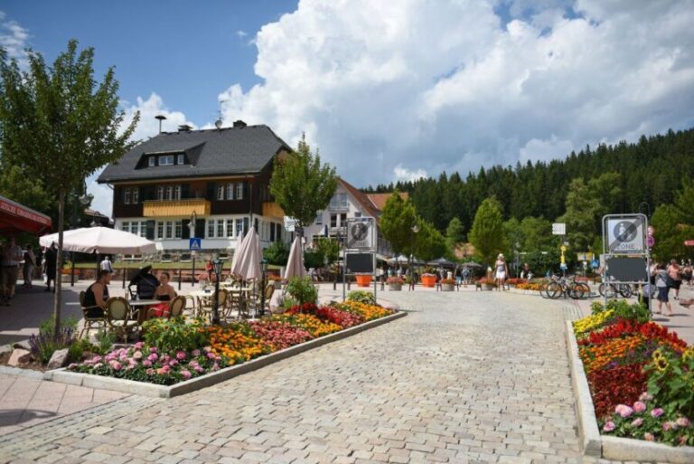 Private Tour from Zurich to Rhine Falls and Black Forest - What Makes This Tour Stand Out