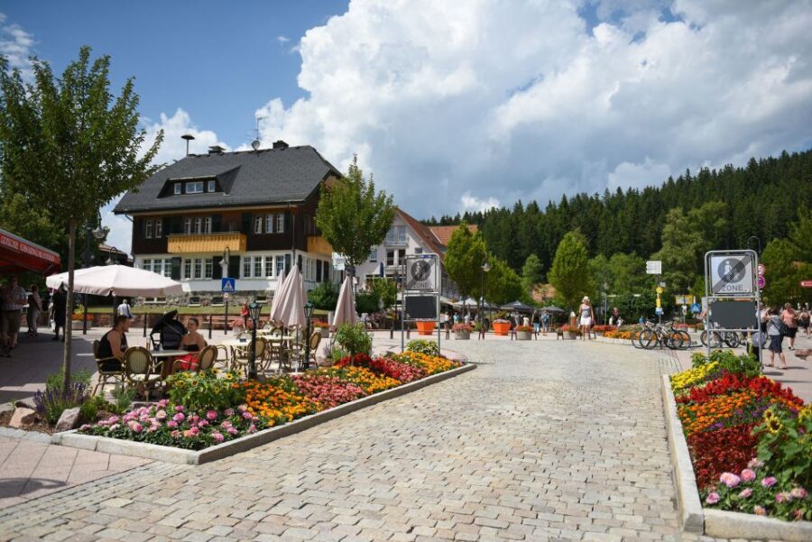 Private Tour from Zurich to Rhine Falls and Black Forest - What Makes This Tour Stand Out